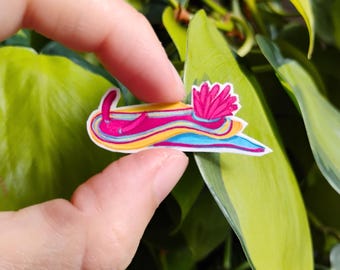 Pansexual pride nudibranch: 1.5 in vinyl waterproof sticker