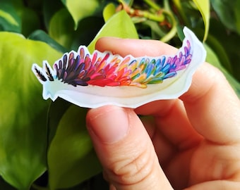 Progress LGBTQ+ pride nudibranch: 1.5 in vinyl waterproof sticker