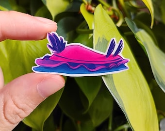 Bisexual Pride Nudibranch: 1.5 in waterproof vinyl sticker