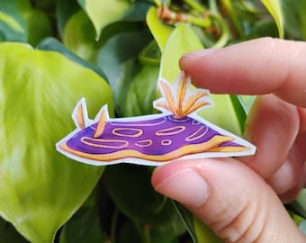 Intersex pride nudibranch sea slug: 1.5 in vinyl waterproof sticker