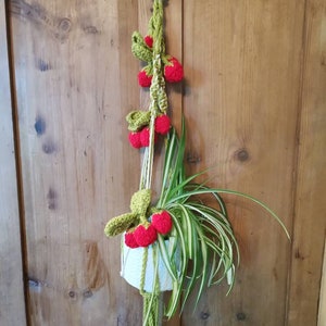 May include: A green and white macrame plant hanger with a white pot and a green plant. The hanger is decorated with red crocheted strawberries.