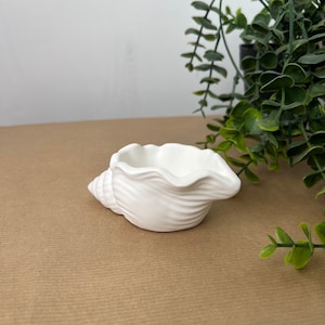 May include: White ceramic seashell shaped dish. The dish is on a brown surface.