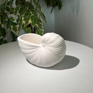 May include: A white ceramic seashell-shaped planter. The planter has a spiral design on the exterior and a smooth interior. The planter is on a white surface, with a green plant in the background.