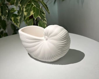 Stone Shell Dish: Jewelry Tray, Small Planter