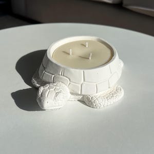 Turtle Soy Candle: Unique 3-Wick Container Candle