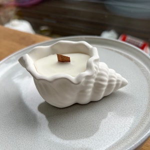 May include: A white seashell-shaped candle holder with a wooden wick, filled with white wax. The candle sits on a light grey ceramic plate. The candle holder is a decorative item.