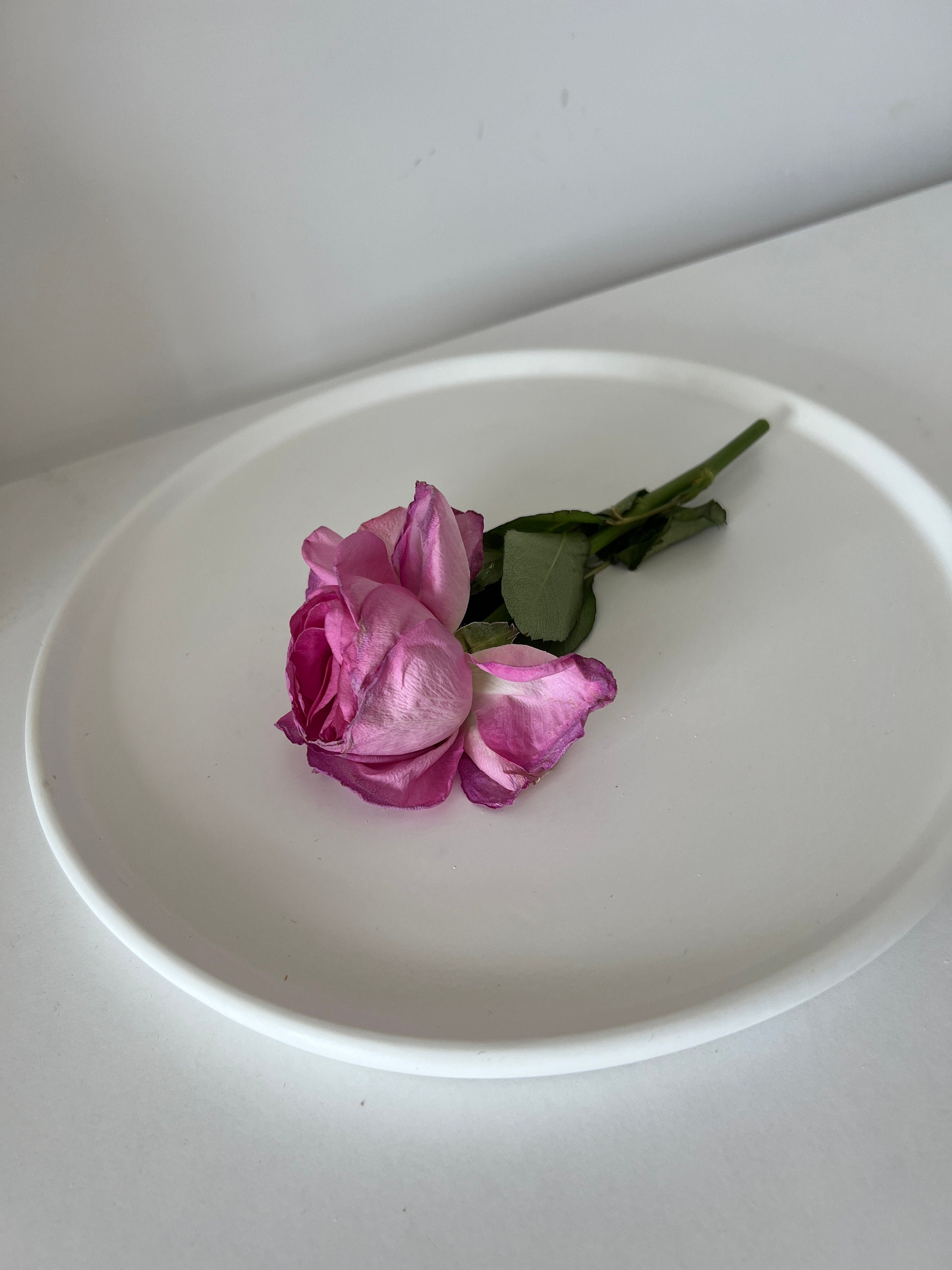 Large Round Decorative Tray Concrete Dish Concrete Etsy UK