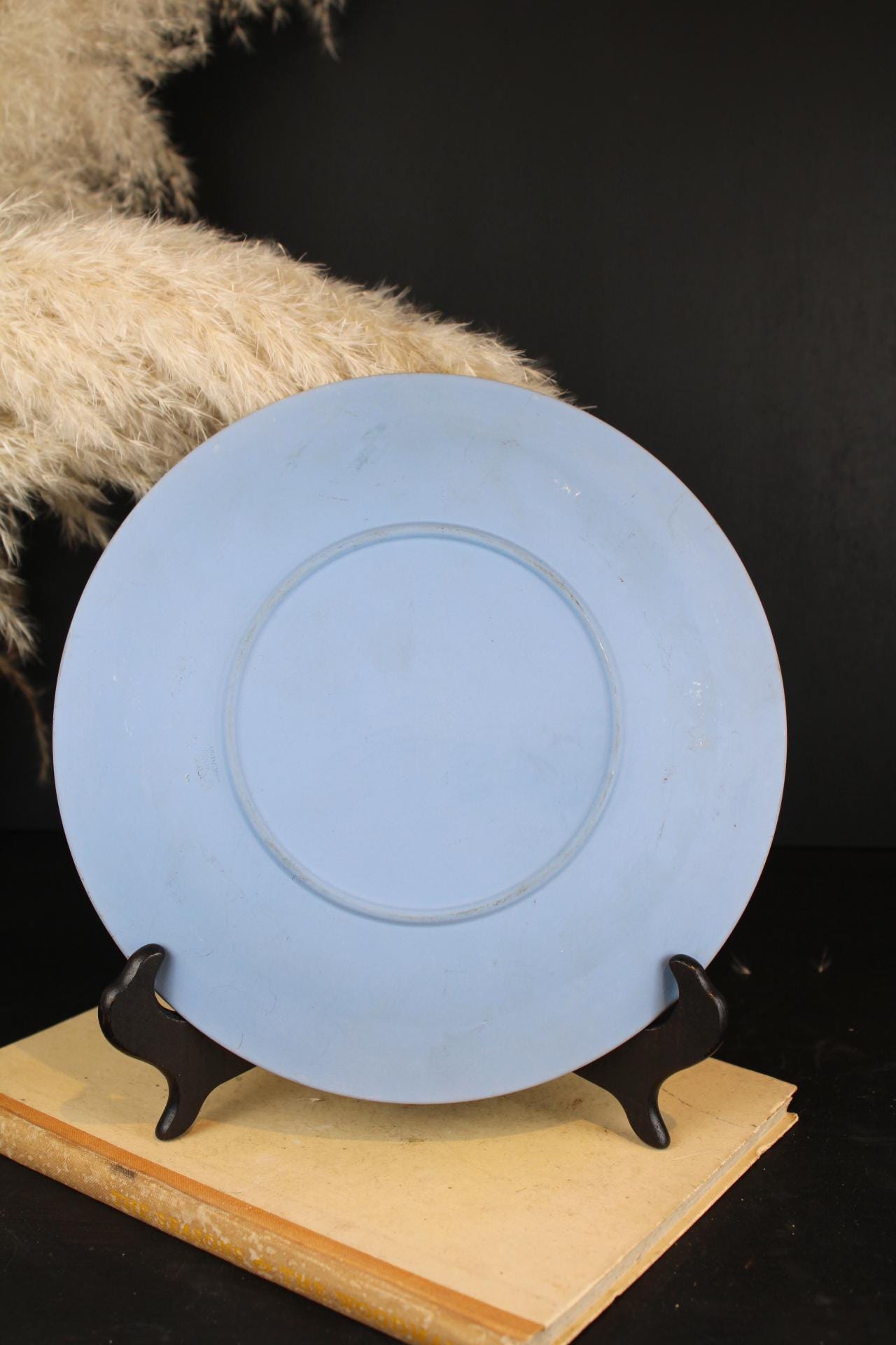 Vintage Wedgwood Jasperware Plate | Blue and White Decorative
