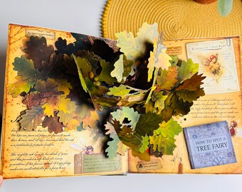 洋書 HOW TO FIND FLOWER FAIRIES(POP-UP) How to Find Flower Fairies Pop-up Book by Cicely Mary Barker