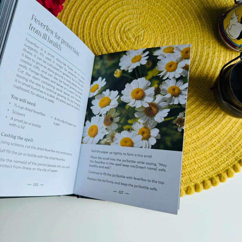 May include: Open book with a white background, showing a page with instructions on how to use feverfew for protection from illness. The page includes a list of ingredients and steps for a spell. The opposite page shows a close-up image of white daisy-like flowers.