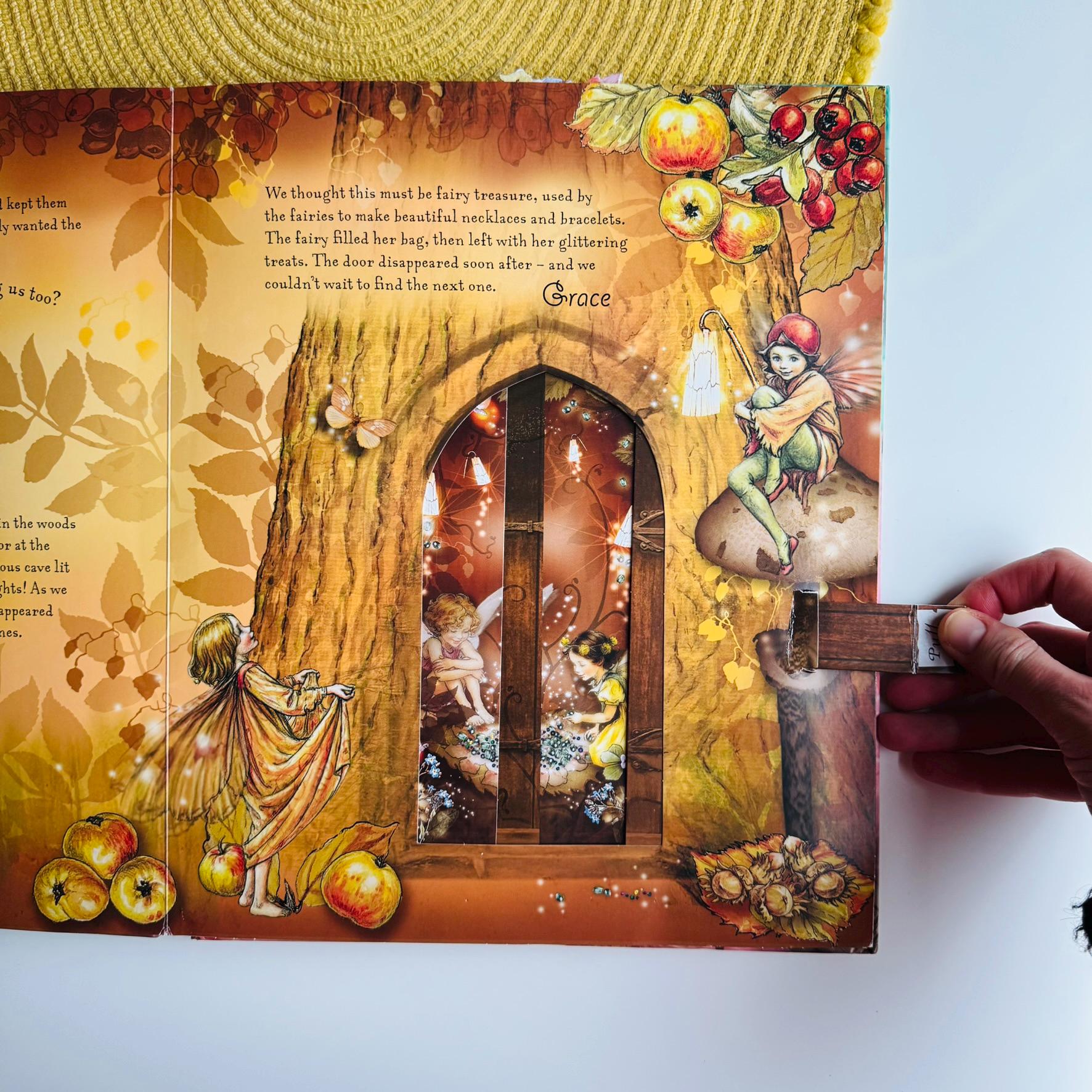 Magical Doors: Discover the Doors to Fairyopolis, Flower Fairies