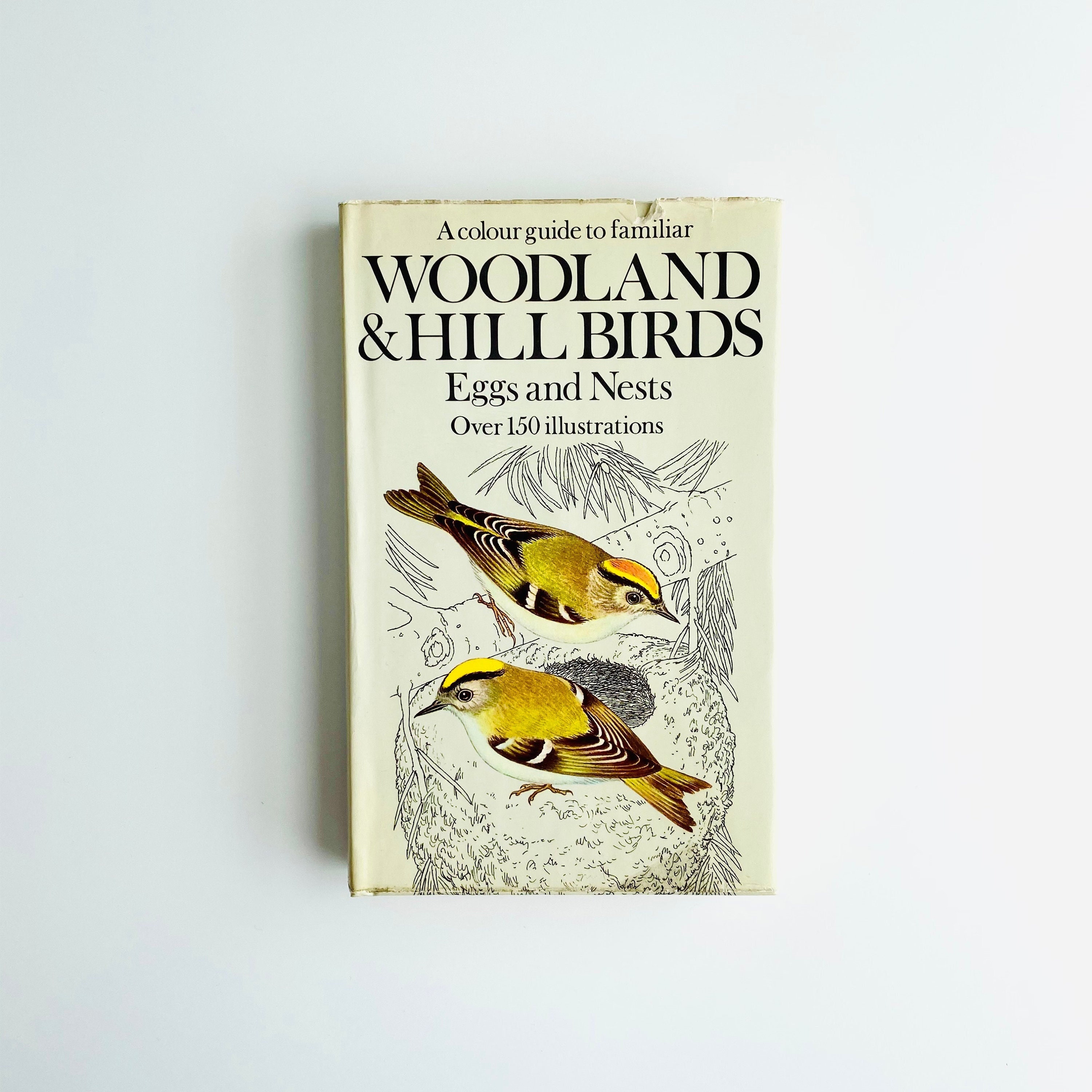 Pocket Bird Guide - Etsy