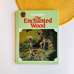 The Enchanted Wood by Enid Blyton, illustrated by Janet Anne Grahame Johnstone Vintage Book, Faraway Tree Pixies Fairies Pagan Illustrations