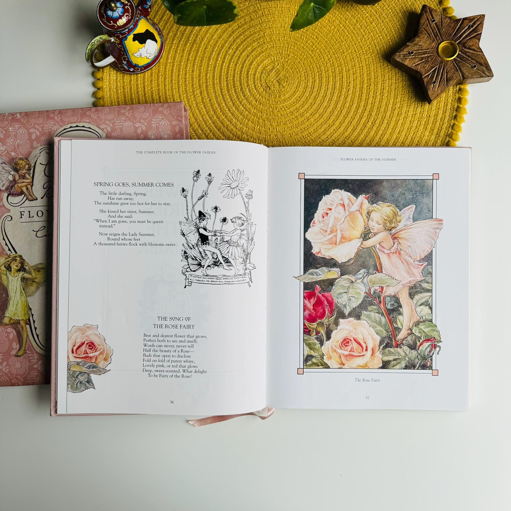 The Complete Book of the Flower Fairies Special Edition