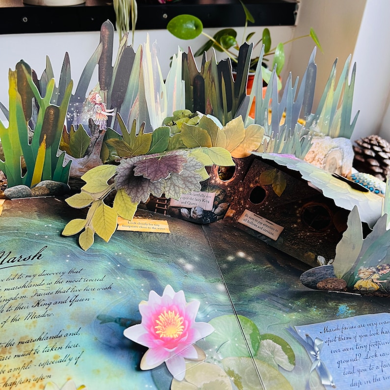 How To Find Flower Fairies Pop up Book By Cicely Mary Barker Vintage how-to-find-flower-fairies-pop-up-book-by-cicely-mary-barker-vintage