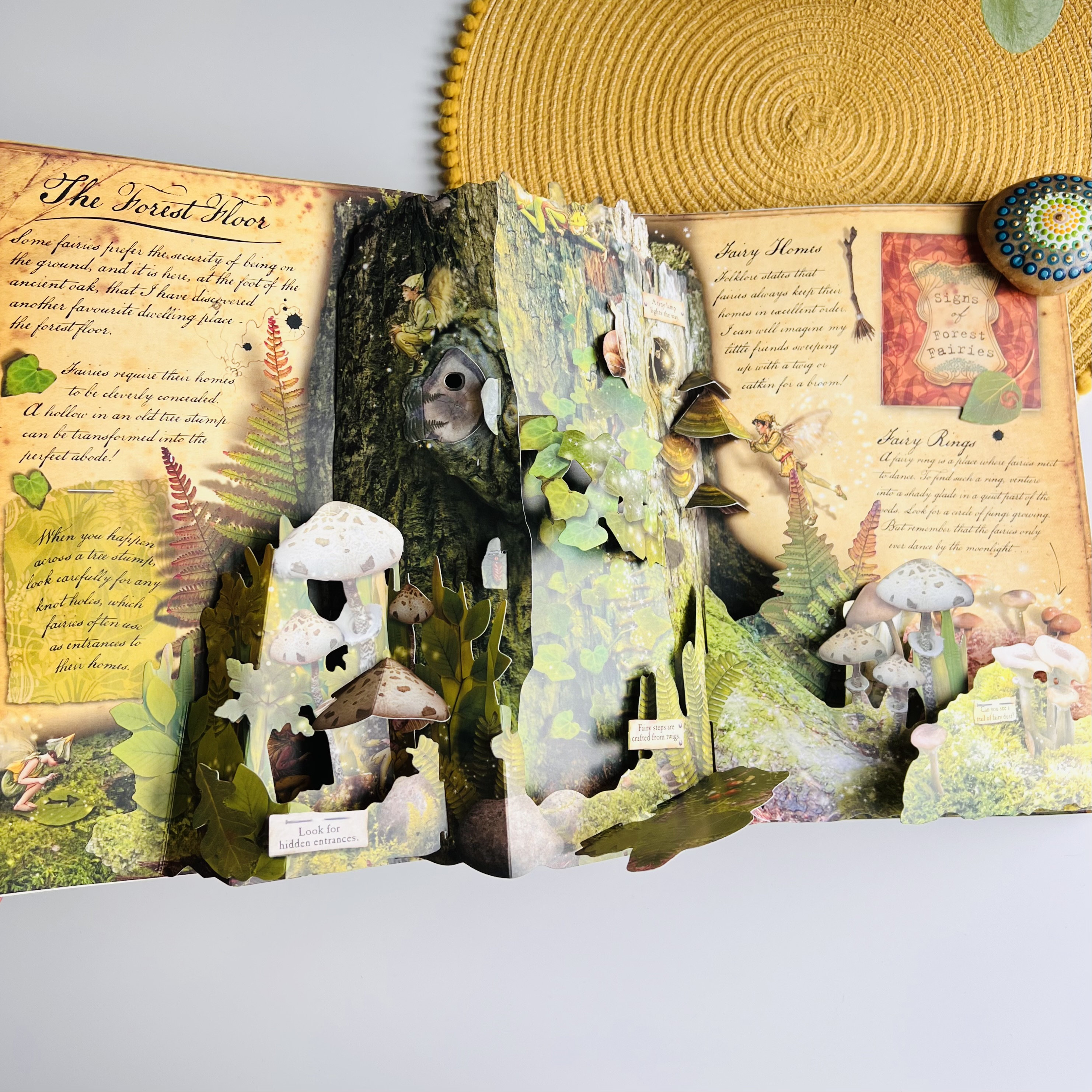 How to Find Flower Fairies: Barker, Cicely Mary