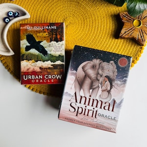 Animal Spirit, Urban Crow Oracle, Illustrated Cat Animal Spiritiual Guide Themed Cards, Fortune Telling Witchcraft Tools, MJ Cullinane