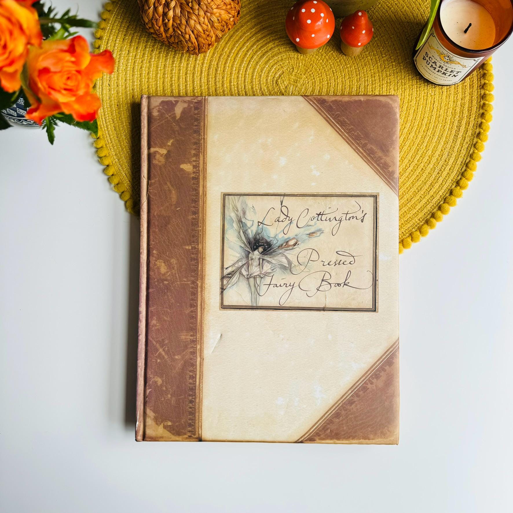 Lady Cottington's Pressed Fairy Book by Terry Jones, Lady Angelica