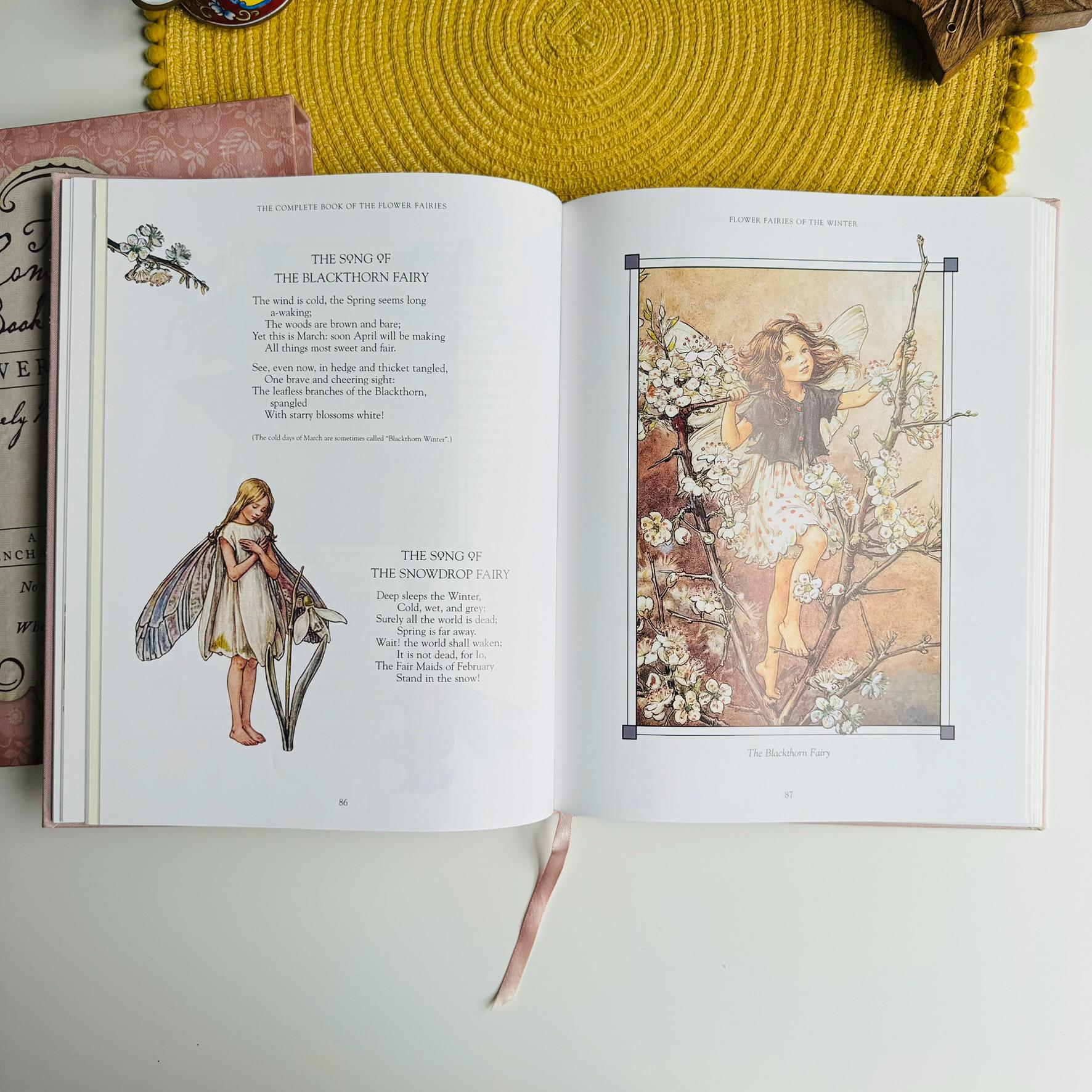 洋書 The Flower Fairies Complete Collection il_fullxfull.6177139861_jpnf.jpg