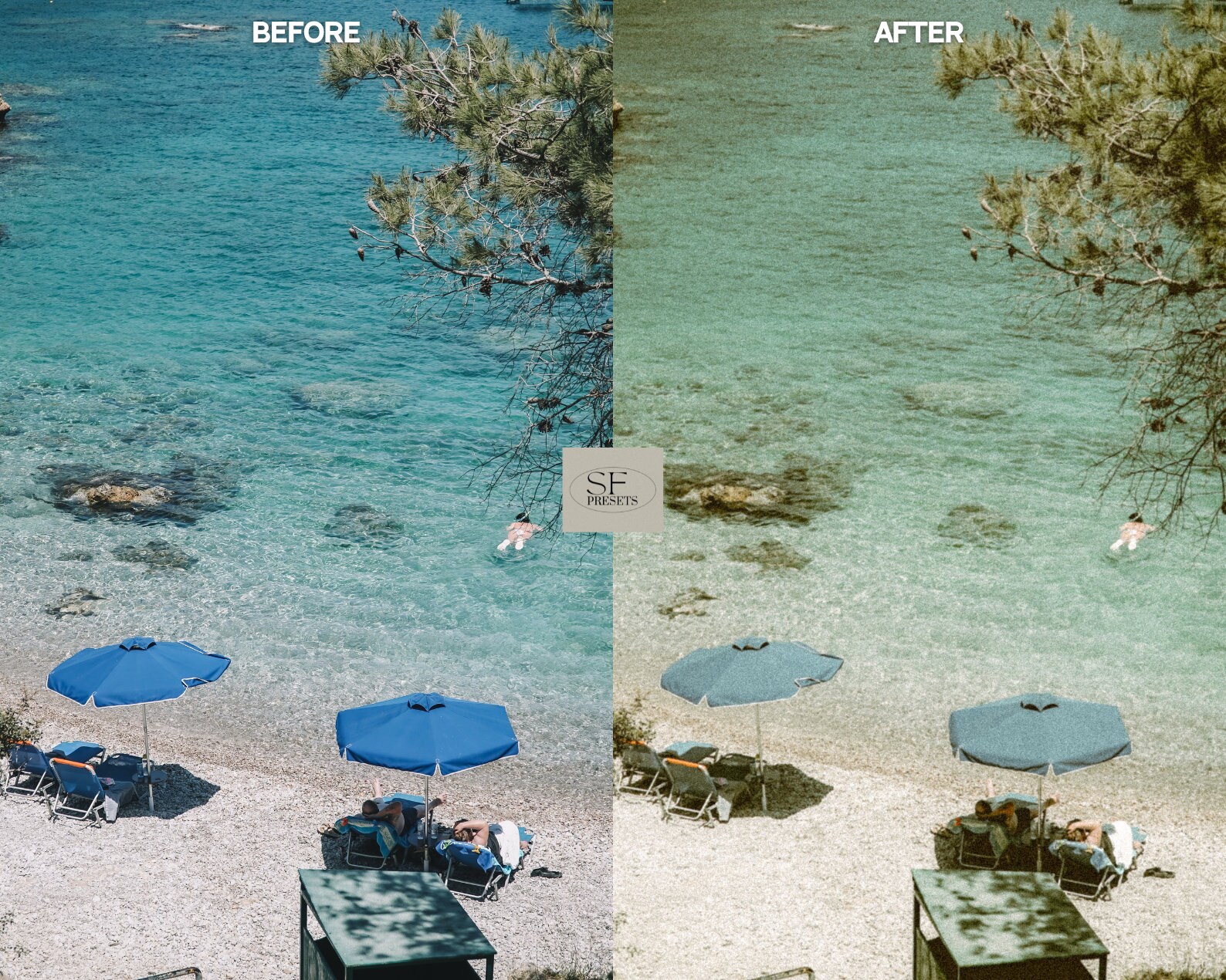 Analog Lightroom Presets, Disposable Preset, 35mm Presets, Grainy