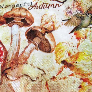 2 serviettes à cocktail, image champignon 5" x 5, serviette de découpage thème estival