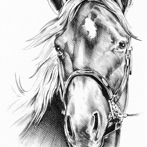 Wild West Western Theme Rice Paper Cowboy and Horse Decoupage Etsy