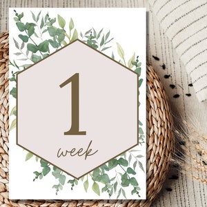 Cartes d'étape de bébé | Accessoires photo | Bébé première année | Cartes jalons de verdure rose | Téléchargement numérique
