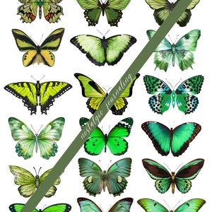 BUTTERFLY Digital Download Kit, Vintage Butterfly Fussy Cuts For Junk Journals, 72 Printable Snippet Butterflies, Blue, Green, Pink, Brown image 5