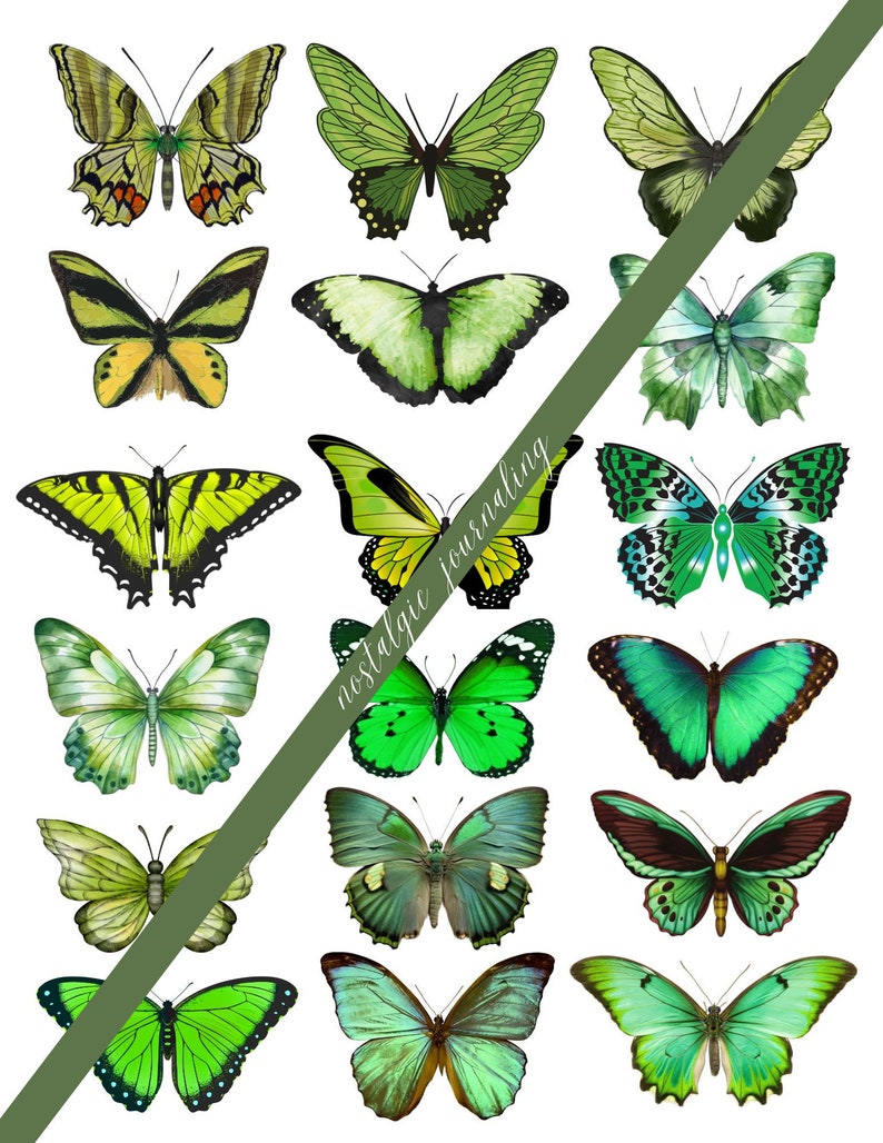 BUTTERFLY Digital Download Kit, Vintage Butterfly Fussy Cuts For Junk Journals, 72 Printable Snippet Butterflies, Blue, Green, Pink, Brown image 5