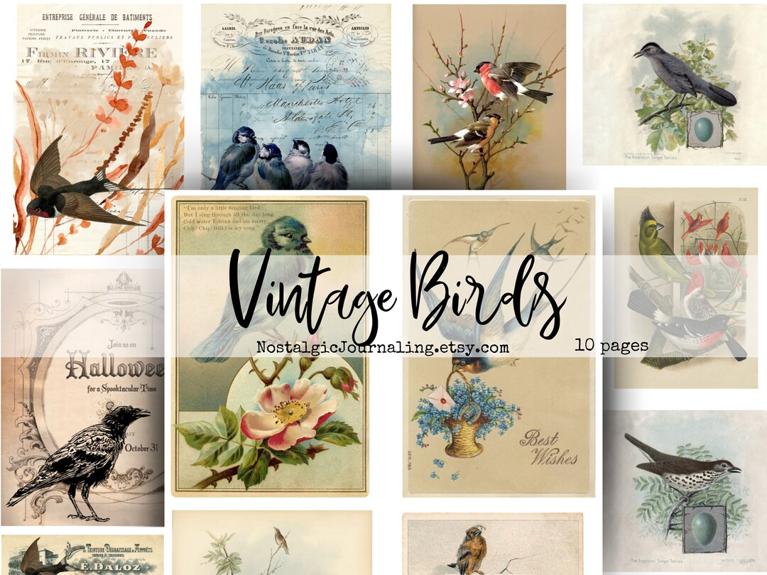 Printable VINTAGE BIRDS Ephemera Junk Journal Digital Download, Vintage
