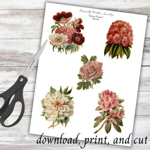 Peut inclure: Une feuille blanche avec des illustrations florales vintage, dont des pivoines et des rhododendrons, avec le texte "Spring Flowers" et "download, print, and cut." Une paire de ciseaux noirs est &agrave; gauche.