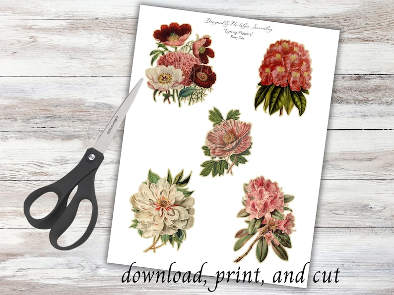 Peut inclure: Une feuille blanche avec des illustrations florales vintage, dont des pivoines et des rhododendrons, avec le texte "Spring Flowers" et "download, print, and cut." Une paire de ciseaux noirs est &agrave; gauche.