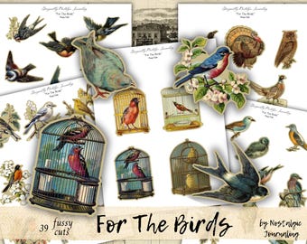 BIRD Fussy Cuts Digital Download, Vintage Bird Printable Junk Journal Images, Bird Cages, Flying Birds, Birds on Flowers, Owl, Raven, Dove