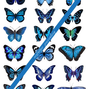 BUTTERFLY Digital Download Kit, Vintage Butterfly Fussy Cuts For Junk Journals, 72 Printable Snippet Butterflies, Blue, Green, Pink, Brown image 4