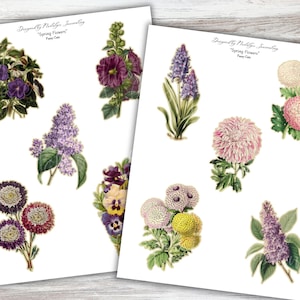 Peut inclure: Deux feuilles de papier avec des illustrations florales vintage. Les motifs comprennent diverses fleurs dans les tons de violet, rose, jaune et blanc. Le texte en haut indique "Designed by Nathalie Journaling" et "Spring Flowers".