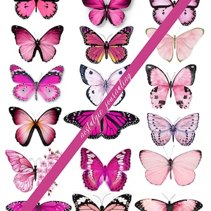 BUTTERFLY Digital Download Kit, Vintage Butterfly Fussy Cuts For Junk Journals, 72 Printable Snippet Butterflies, Blue, Green, Pink, Brown image 6