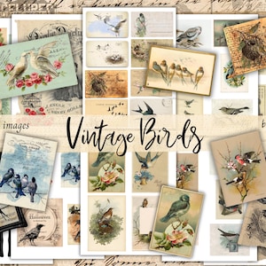 Download digital de PÁSSAROS VINTAGE, 10 páginas de imagens de pássaros vintage para impressão para diários de lixo, cartões-postais de pássaros efêmeros, etiquetas, rótulos, trechos