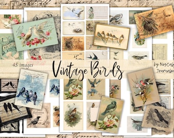 VINTAGE BIRDS Digital Download, 10 Pages Of Vintage Printable Bird Images For Junk Journals, Bird Ephemera Postcards, Tags, Labels, Snippets