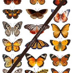 BUTTERFLY Digital Download Kit, Vintage Butterfly Fussy Cuts For Junk Journals, 72 Printable Snippet Butterflies, Blue, Green, Pink, Brown image 3