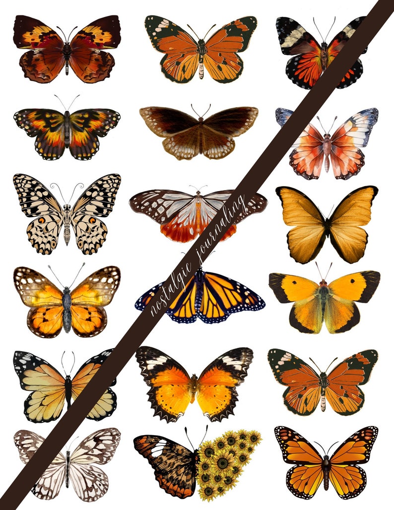 BUTTERFLY Digital Download Kit, Vintage Butterfly Fussy Cuts For Junk Journals, 72 Printable Snippet Butterflies, Blue, Green, Pink, Brown image 3