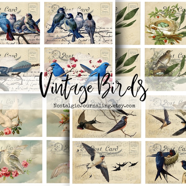 BIRD POSTCARDS Digital Download, 20 Vintage Printable Postcards For Junk Journals, Bluebirds, French Rose Doves, Barn Swallows, Bird Nests