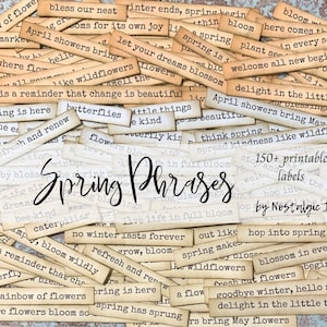 FRASES DE PRIMAVERA imprimibles, descarga digital vintage para escribir en diarios basura, más de 150 etiquetas