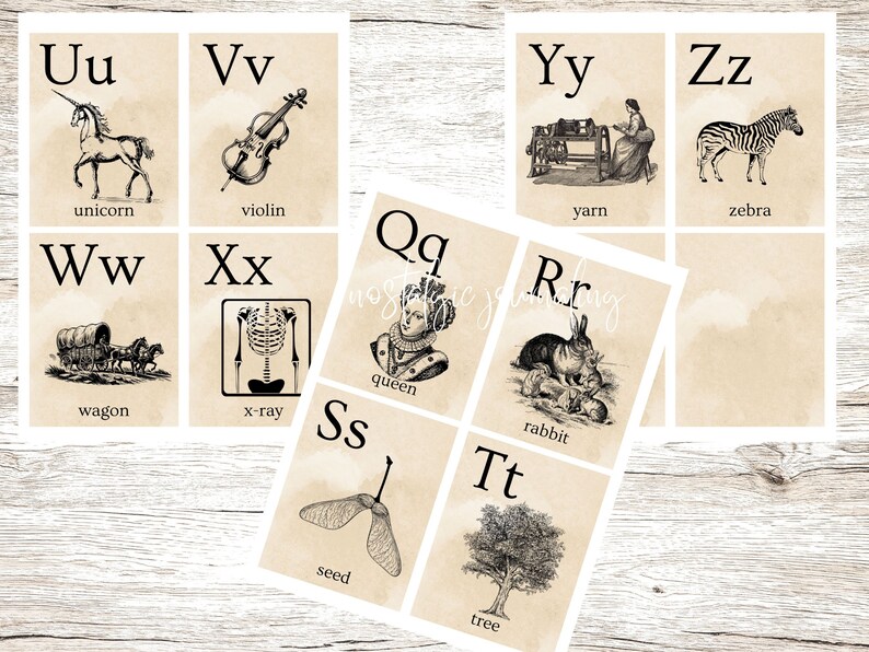 以下が含まれることがあります： アルファベットのフラッシュカードのセットで、各文字のイラストと単語が書かれています。イラストには、ユニコーン、バイオリン、ワゴン、レントゲン写真、糸、シマウマ、女王、ウサギ、種、木などが含まれています。
