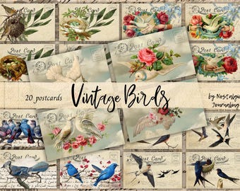BIRD POSTCARDS Digital Download, 20 Vintage Printable Postcards For Junk Journals, Bluebirds, French Rose Doves, Barn Swallows, Bird Nests