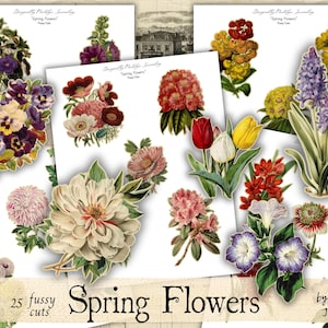 Peut inclure: Ensemble de 25 images de fleurs de printemps d&eacute;coup&eacute;es avec soin, comprenant des tulipes, des pens&eacute;es et des jacinthes. Les images sont de diff&eacute;rentes couleurs, comme le rouge, le jaune, le violet et le blanc, pour le scrapbooking.