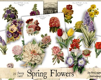 May include: A selection of 25 fussy cut spring flower images, featuring tulips, pansies, and hyacinths. The images are in various colours, including red, yellow, purple, and white, and are designed for crafting and journaling.
