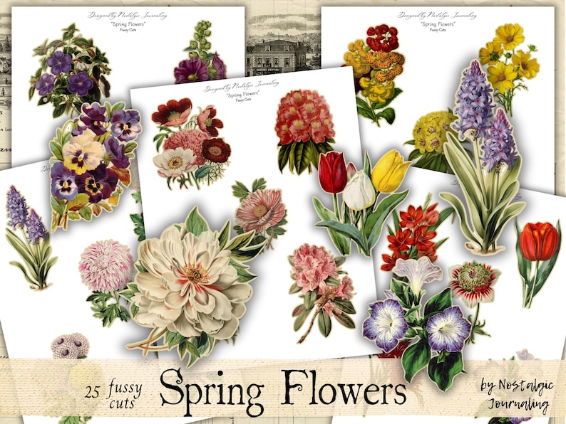 Peut inclure: Ensemble de 25 images de fleurs de printemps d&eacute;coup&eacute;es avec soin, comprenant des tulipes, des pens&eacute;es et des jacinthes. Les images sont de diff&eacute;rentes couleurs, comme le rouge, le jaune, le violet et le blanc, pour le scrapbooking.