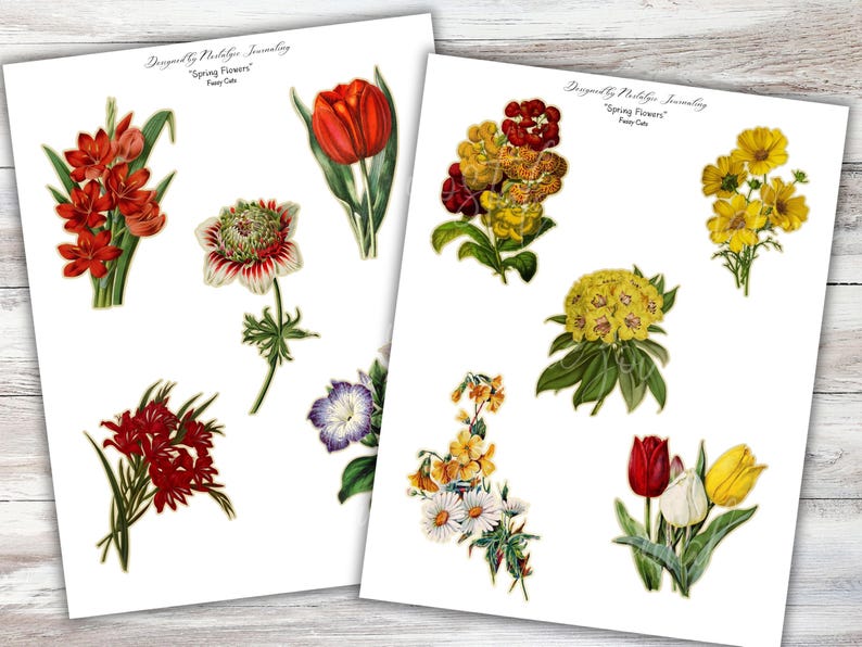 Peut inclure: Deux feuilles de papier avec des illustrations florales vintage. Les feuilles pr&eacute;sentent diverses fleurs, dont des tulipes, des marguerites et d'autres fleurs printani&egrave;res dans des tons de rouge, jaune, blanc et violet. Le texte "Spring Flowers" et le nom du designer sont imprim&eacute;s en haut.