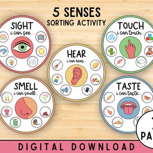 Five Senses Sorting Activity, Preschool, Kindergarten, 5 Senses Classification Game, Human Body Worksheets, Busy Bags Idea, Montessori, PDF