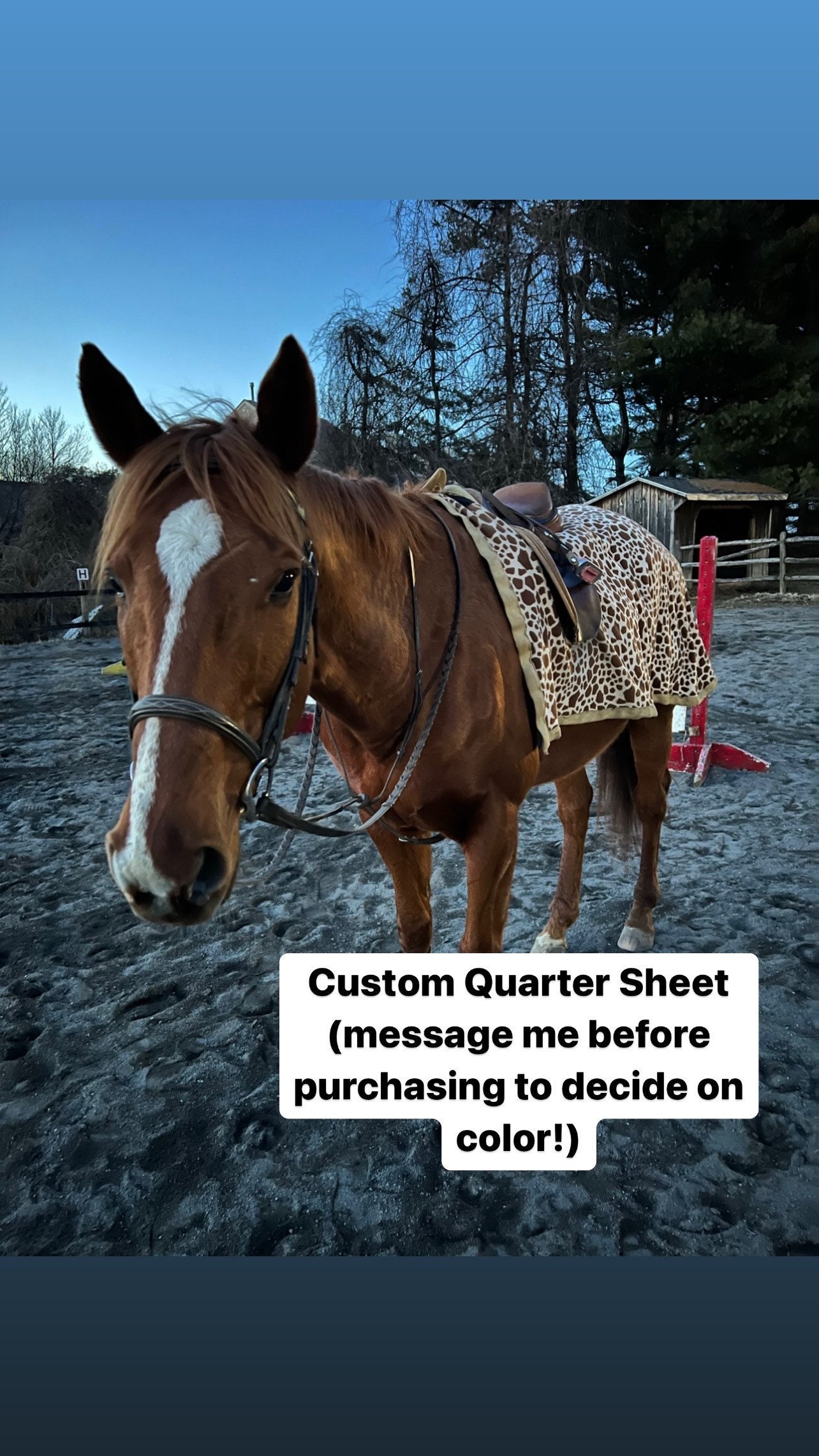 Custom Quarter Sheet, Horse Blanket, Birthday Gift for Horse Girl